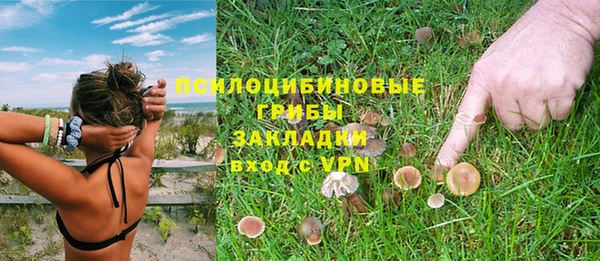 ешки Абдулино